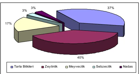 Şekil -28:Mut İlçesi Tarım Arazisi Dağılımı (da) (2010)