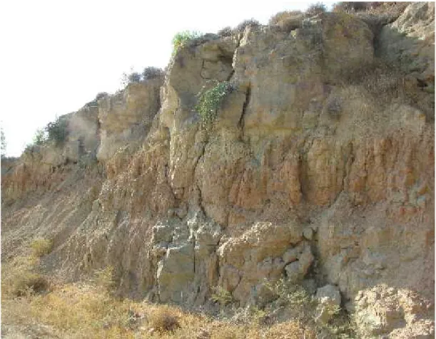 Foto 4: Mut Genelindeki Killi ve Kireçli Yapıdaki Topraktan Görünüm