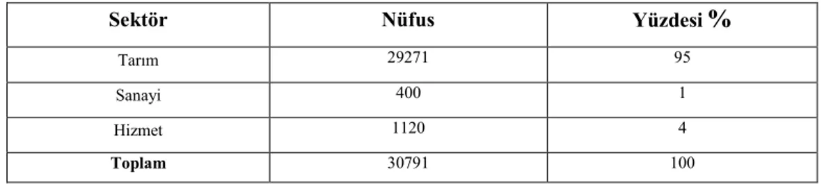 Şekil 23- Nüfusun Ekonomik Faaliyet Kollarına Göre Dağılımı