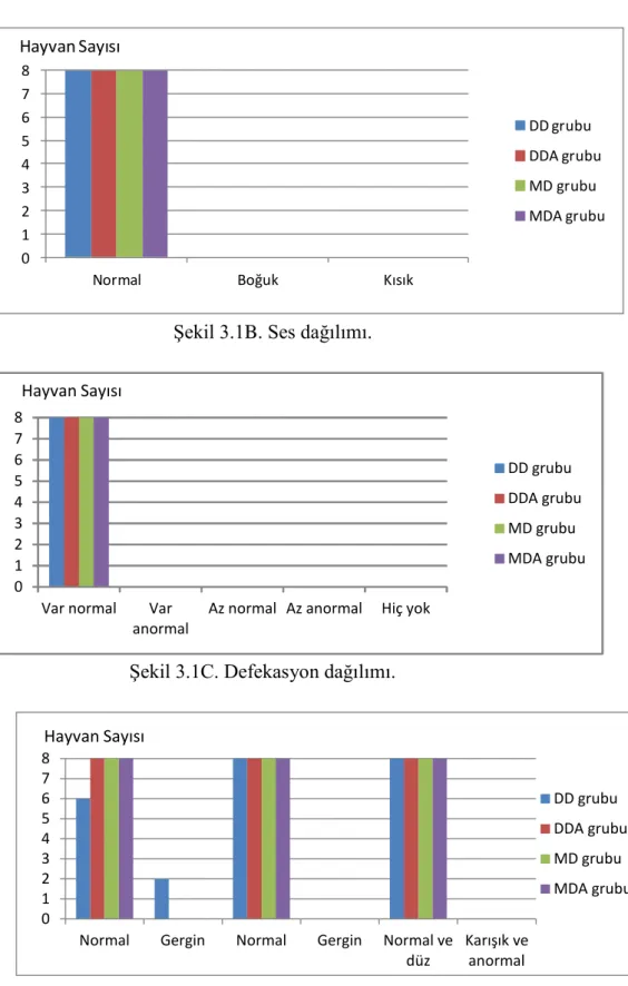 Şekil 3.1B. Ses dağılımı. 