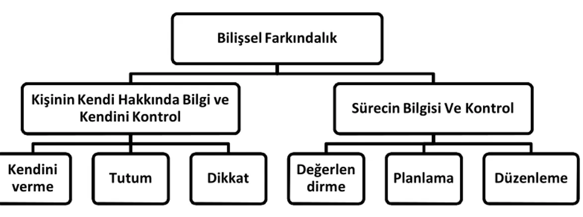 Şekil 2.3. Bilişsel Farkındalık 