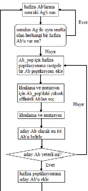 Şekil 5.2. Geliştirilen klonsal seçme tabanlı AIS’ in akış diagramı 