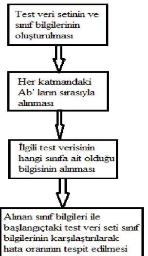 Şekil 5.7. Geliştirilen elipsoid şekilli katmanlı-YBS sisteminin test edilmesi için oluşturulan akış şeması 