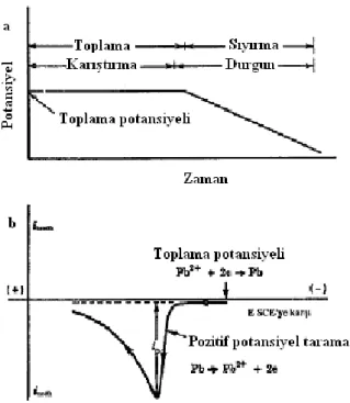 ġekil 1.6. Doğrusal Taramalı Sıyırma Voltametrisinde a) Uyarı sinyali b) Pb +2  için sıyırma voltamogramı 