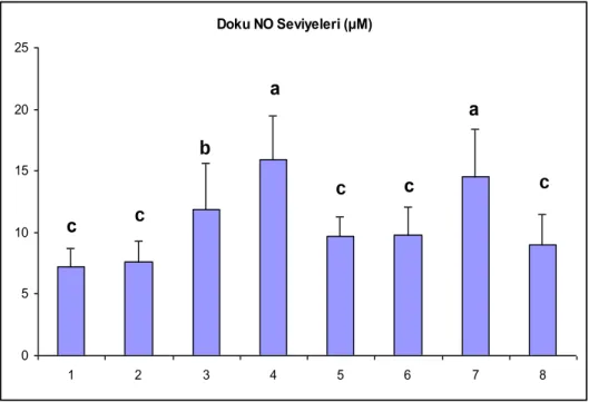 ġekil 4. Doku NO Seviyeleri  