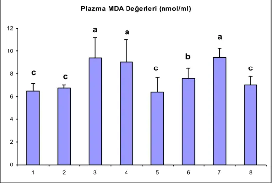 ġekil 5. Plazma MDA Değerleri   