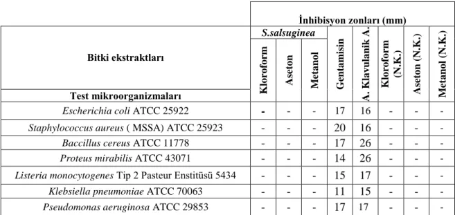 Çizelge 4.1. Bitki ekstraktlarının antibakteriyel etkileri 