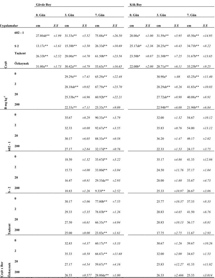 Çizelge 4.3. 602-1, S-2, Taşkent ve Özkaynak bezelye genotiplerinin gövde ve kök boyu (cm) 