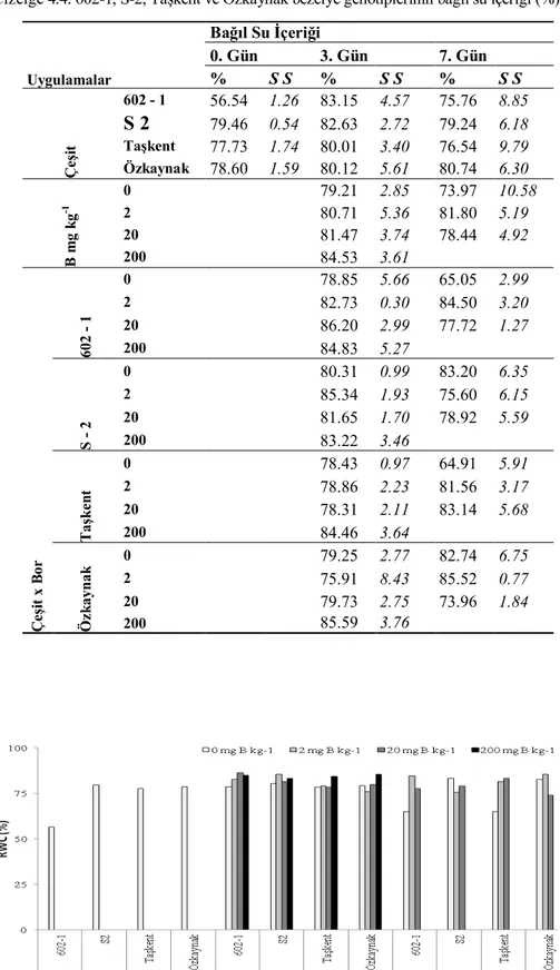 Çizelge 4.4. 602-1, S-2, Taşkent ve Özkaynak bezelye genotiplerinin bağıl su içeriği (%)  Uygulamalar  Bağıl Su İçeriği 0