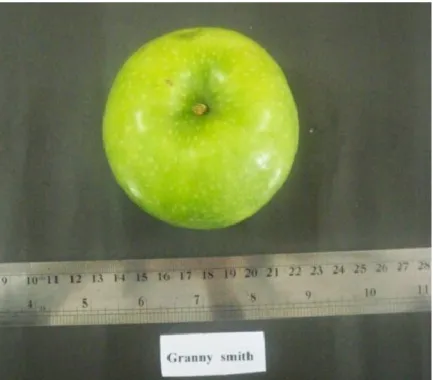 Şekil 3.3 (a). Granny Smith elma çeşidi 