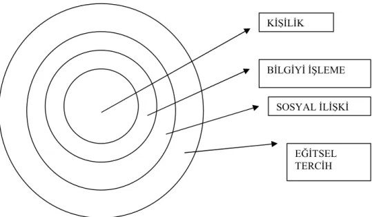 Şekil 3. Öğrenme stillerinin soğan halkası modelleri 