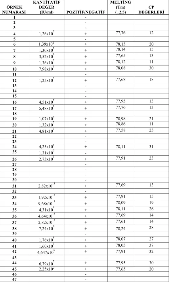 Çizelge 4.2.  S. aureus PVL gen bölgesi Real-Time PCR sonuçları  ÖRNEK  NUMARASI   KANTİTATİF DEĞER   (IU/ml) POZİTİF/NEGATİF  MELTİNG (Tm) (±2.5)  DEĞERLERİ CP  1     -  2     -  3     -  4  1,26x10 7  + 77,76 12  5     -  6  1,39x10 2   + 78,15  20  7  1