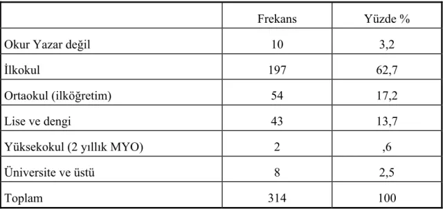Tablo 20. Ebeveyn öğrenim durumları (Anne) 