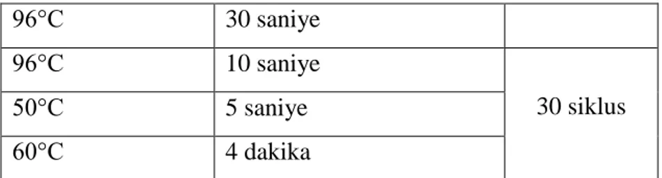 Çizelge 2.3. DNA dizi analizinin PCR reaksiyonunun Ģartları 