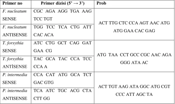 Çizelge 2.5. PCR primer ve prob dizileri 