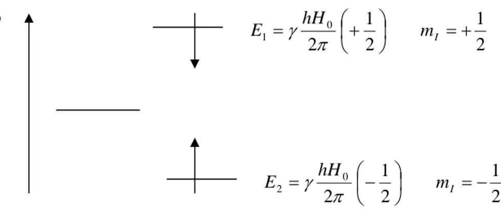 Şekil 2.1. Bir çekirdeğin manyetik alana getirildiğinde enerji seviyelerindeki                                yarılmaların şematik gösterimi 