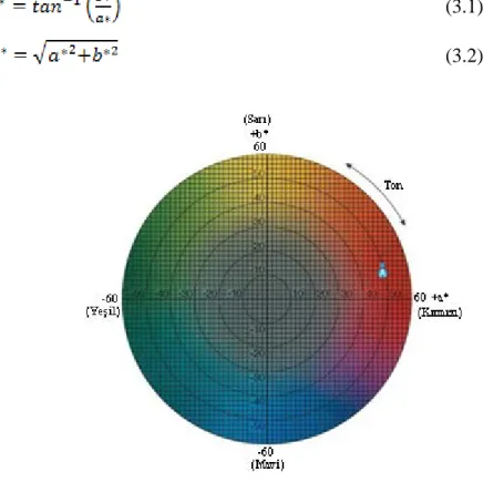 Şekil 3.6. L*, a* ve b* renk alanı renksellik diyagramı 
