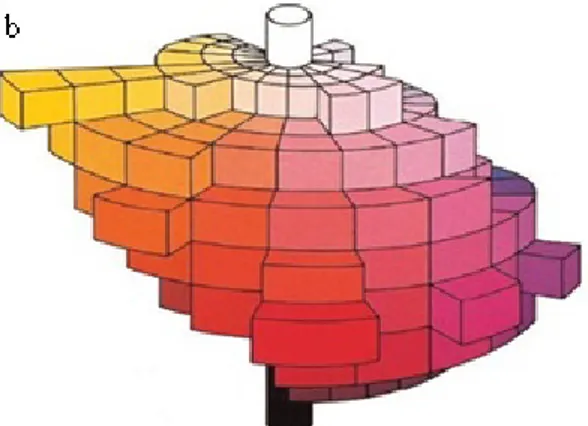 Şekil 3.7. Üç boyutlu (ton, parlaklık ve doygunluk) renk diyagramı (a ve b) 
