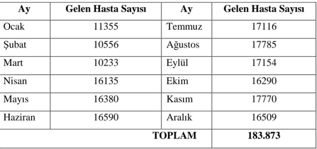 Çizelge 4.2. 2010 Yılı AS’ye Gelen Hasta Sayısı (ANEAH İstatistik Birimi, 2010) 