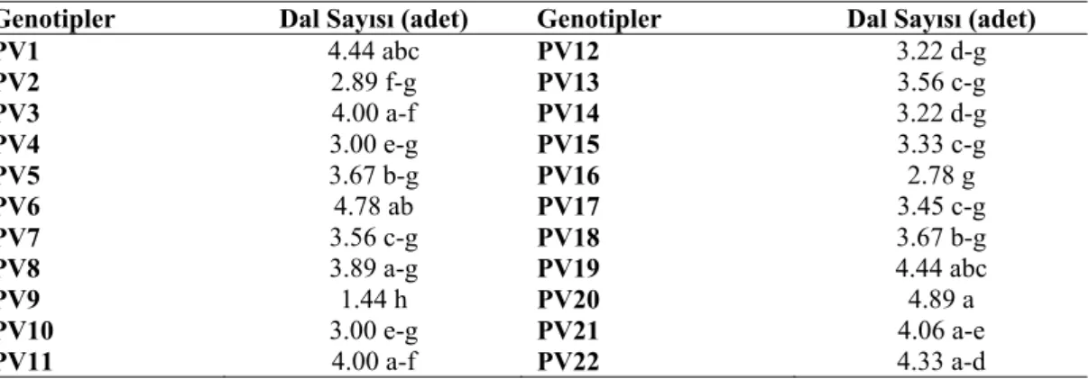 Çizelge 4.4. Araştırmada kullanılan fasulye genotiplerinde tespit edilen dal sayılarına (adet) ait değerler  ve lsd grupları 
