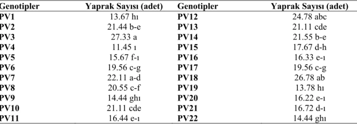 Çizelge 4.8. Araştırmada kullanılan fasulye genotiplerinde tespit edilen yaprak sayılarına (adet) ait  değerler ve lsd grupları 