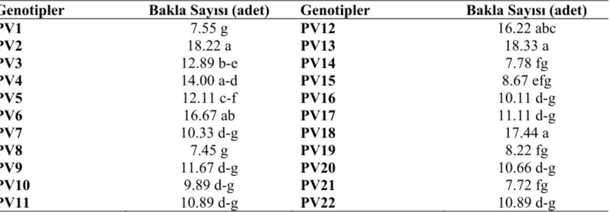 Çizelge 4.12. Araştırmada kullanılan fasulye genotiplerinde tespit edilen bakla sayılarına (adet) ait  değerler ve lsd grupları 