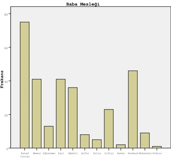 Şekil  1’de  ankete  katılanların  babalarının  meslekleri  grafik  şeklinde  gösterilmiştir