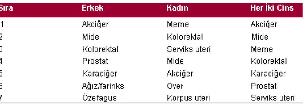 Grafik 3: En sık görülen kanserler,  yaşa standardize insidans hızları*(Türkiye, 2004-2006) * Yüz binde, Dünya  Standart Nüfus  (T.C