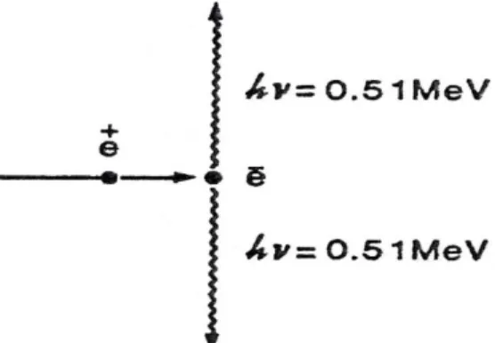 Şekil 3.6. Yok Olma (anihilasyon) Radyasyonu 