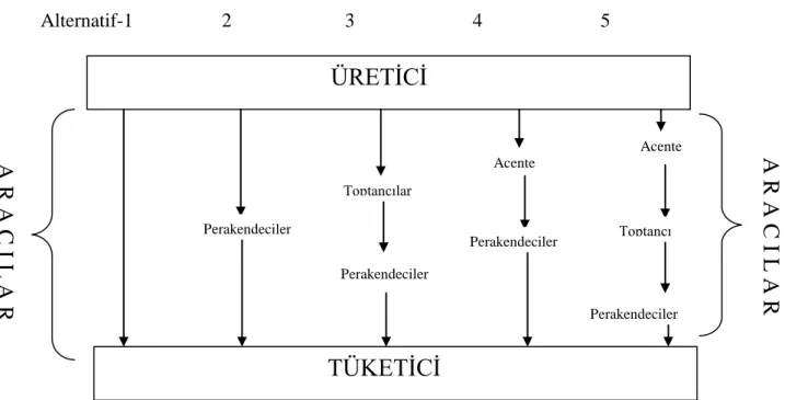 ġekil 1.9. Tüketim Mallarında Dağıtım Kanalı Seçenekleri  Alternatif-1                  2                       3                        4                        5       