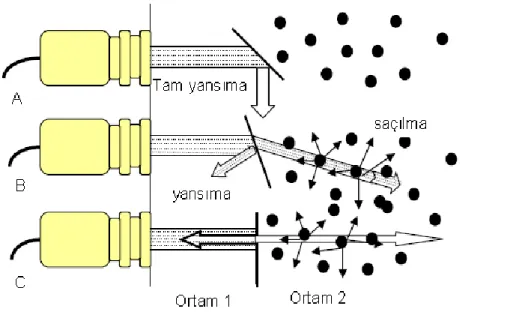 ġekil 1. 3. Ultrasonik dalgaların yansıması, kırılması ve saçılması (Suslick 1988).  
