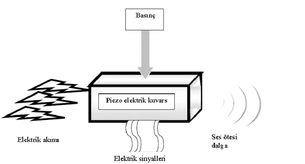 ġekil 1. 4. Ultrasonik dalgaların piezoelektrik madde ile oluĢturulması (Halliday ve  Resnick 1992)