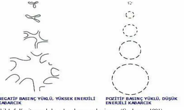 ġekil 1. 5. Kavitasyon kabarcığın oluĢum mekanizması (Cordemans 1991). 