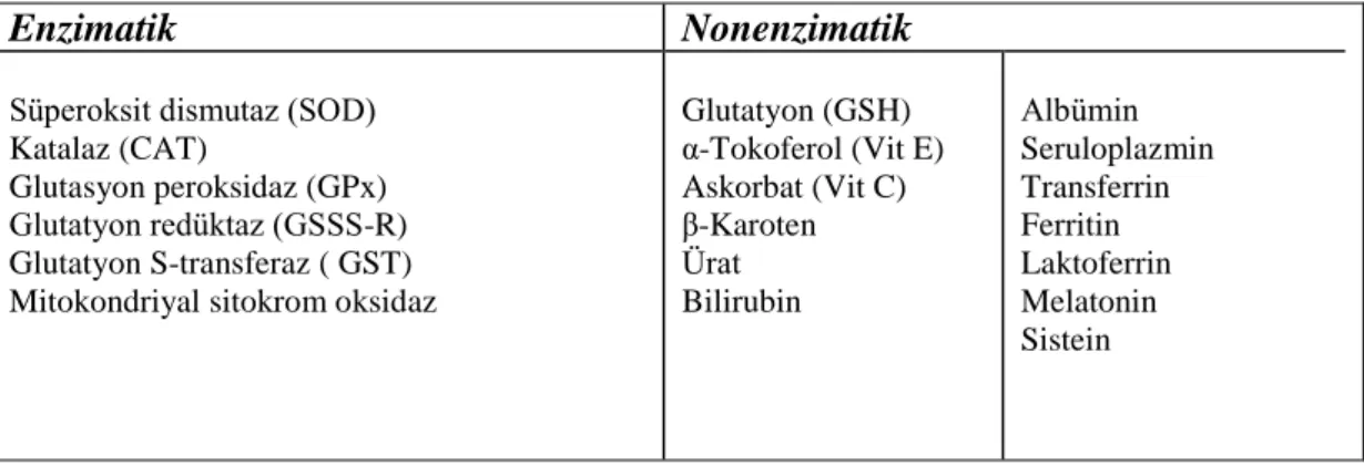 Çizelge 1.3. Enzim ve enzim olmayan antioksidanlar (AkkuĢ 1995). 