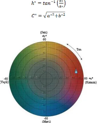 ġekil 3.3.14.1. L*, a* ve b* renk alanı renksellik diyagramı 
