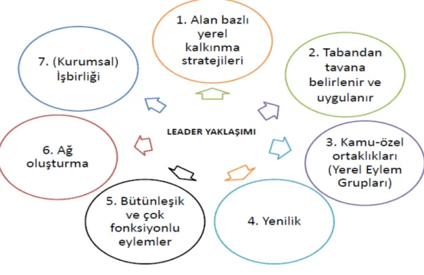 Şekil 3.1. LEADER Yaklaşımı (Doğan,2011) 