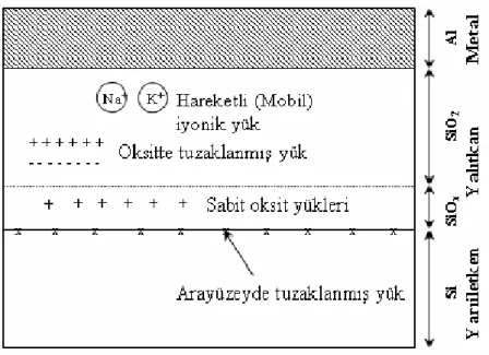 Şekil 2.9 İdeal olmayan MIS/MOS yapısında ara yüzey durumları ve yüklerin sınıflandırılması