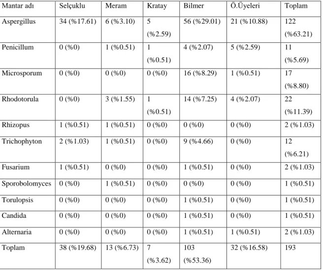 Tablo 3.5. Ġzole edilen mantar suĢlarının gruplara göre dağılımı 