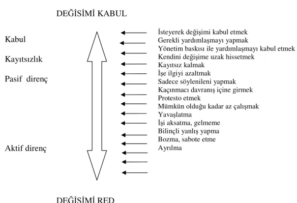 Şekil 2: Değişimi Red- Değişimi Kabul Ölçeği 