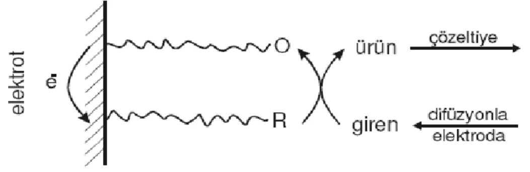 ġekil 1.12 Polimer filmiyle modifiye edilmiĢ bir elektrottaki yük alıĢveriĢi 