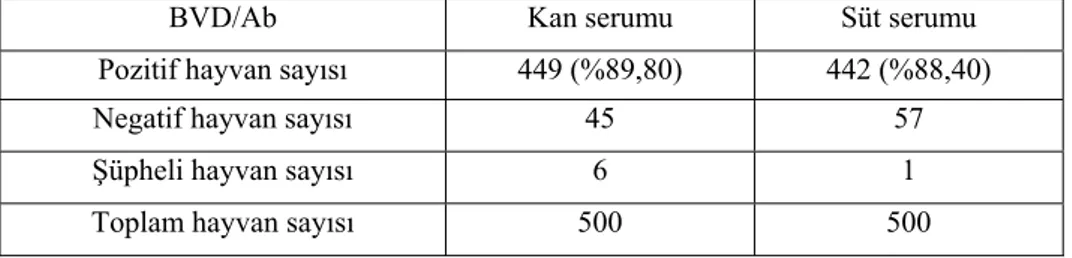 Çizelge 4.3. Örneklenen 500 hayvanın ELISA BVD/antikor kan ve süt sonuçları 