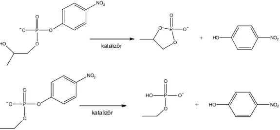 Şekil 2.1. HPNP ve EPNP’nin katalizör ile 4-nitrofenole dönüşümü 