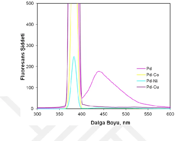 Şekil 3.2. anti -4- hidroksiiminobenzilpiperidin (Pd) emisyon grafiği. λ ex   = 385  nm,  λ em   =  440  nm;  slit  aralığı:  10  nm;  [Pd]:  5x10 -4   M;  [Pd-Co]:  5x10 -4   M;  [Pd-Ni]:  5x10 -4  M; [Pd-Cu]: 5x10 -4  M,  %50 su - %50  DMF ortamında