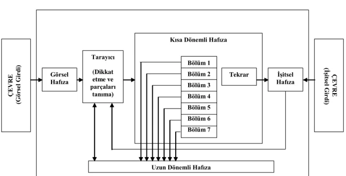 ġekil 19: Kısa Dönemli Hafıza Modeli 