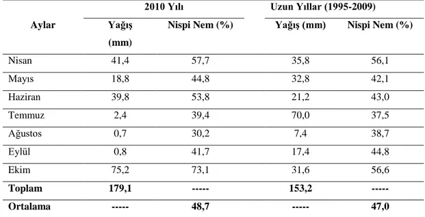 Çizelge 3.1.  Uzun  yıllar ortalamalarına (1995-2009) ve araştırmanın yapıldığı döneme (2010)  ait yağış  ve nispi nem değerleri* 