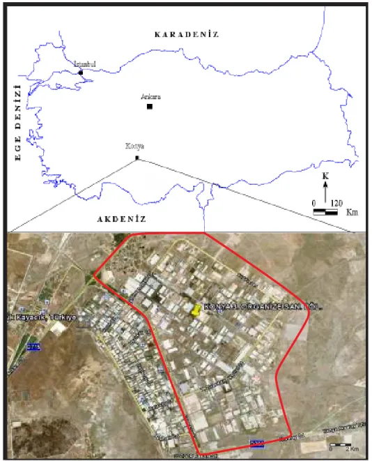 Şekil 1.1.  Đnceleme Alanı 