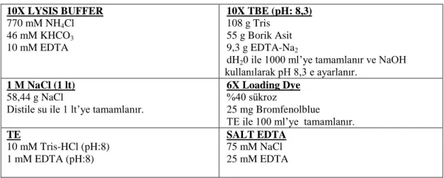 Çizelge 2.2. Kullanılan bazı çözeltiler ve hazırlanıĢı.   10X LYSIS BUFFER  770 mM NH 4 Cl    46 mM KHCO 3  10 mM EDTA  10X TBE (pH: 8,3) 108 g Tris 55 g Borik Asit 9,3 g EDTA-Na 2