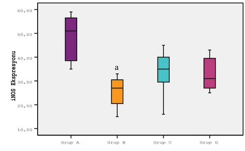 Grafik 3.4.  Grup A (K), Grup B (Se), Grup C (αT) ve Grup D (Se+αT) için iNOS 