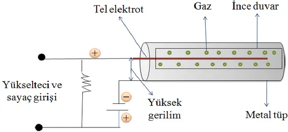 ġekil 2.14. Geiger-Müller sayacının Ģematik gösterimi. Merkezdeki tel ile metal   tüp arasındaki gerilim yaklaĢık olarak 1000 V’tur