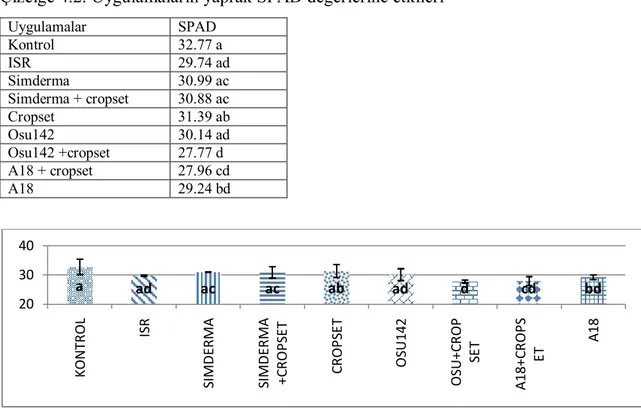 Çizelge 4.2. Uygulamaların yaprak SPAD değerlerine etkileri  Uygulamalar  SPAD  Kontrol  32.77 a  ISR  29.74 ad  Simderma  30.99 ac  Simderma + cropset  30.88 ac  Cropset  31.39 ab  Osu142  30.14 ad  Osu142 +cropset  27.77 d  A18 + cropset  27.96 cd  A18  